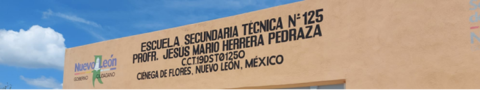 Secundaria tecnica 125 "Profr. Jesús Mario Herrera Pedraza"